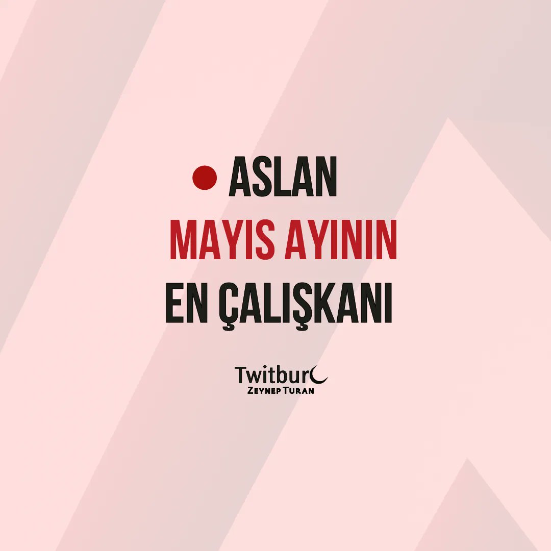 Zeynep Turan tweet media