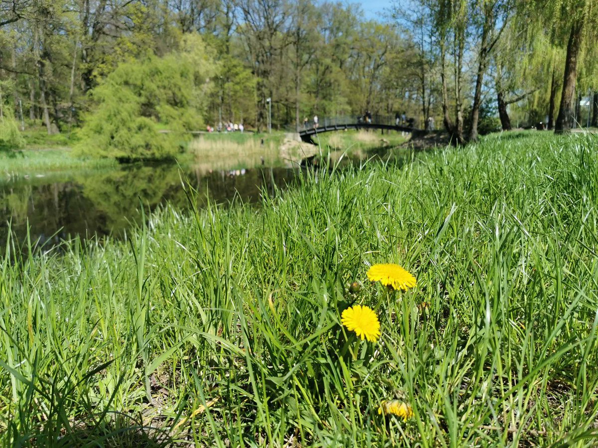 ylllayllla's tweet image. Żółty zielony i niebieski - ulubione moje kolory - wiosna :)