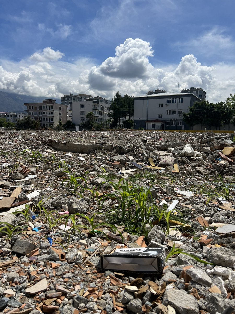 En ibret verici görüntülerden biri. Bu bloklar 200'ün üstünde insana mezar oldu. Bloklar kaldırıldı, mezarlar defnedildi, molozlar taşındı ve 3 ay sonra bir evin mutfağından mısırlar boy vermeye başladı