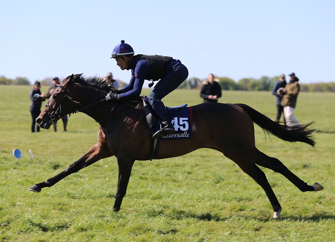 Syndicates.Racing tweet media