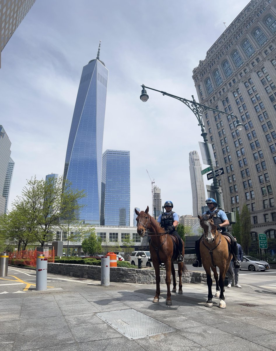 USPPNEWS on Twitter "Our New York Field Office Horse Mounted Unit is always ready to serve the