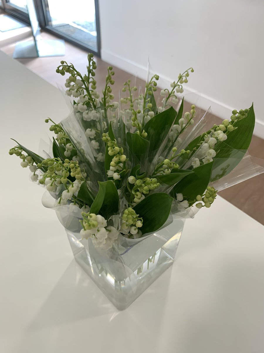 SenAngers's tweet photo. Quoi de mieux qu’un brin de muguet pour célébrer le 1er mai 🥳 
Nos résidents ont eu le droit à leur bouquet pour leur apporter encore plus de bonheur dans notre résidence @SenAngers 😍 https://t.co/JKvQlzA4GV