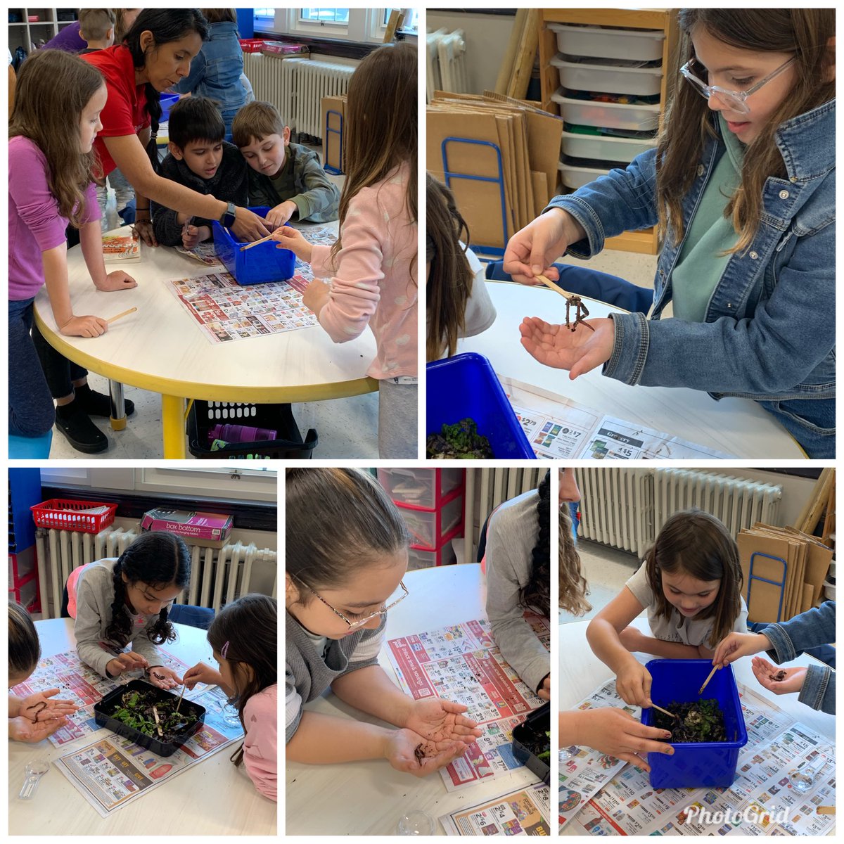 #WeeLoveComposting! Thank you to the Rutgers 4H club for coming to visit our grade 2 classrooms to teach us about composting today. Great hands-on STEM activity! ⁦@WeehawkenTSD⁩ ⁦@bcalligy⁩ ⁦@EricCrespoEDU⁩ ⁦@FAmato53⁩ ⁦@al_orecchio⁩