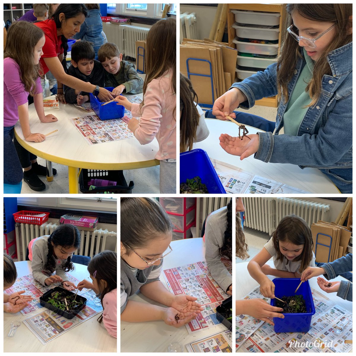 Isabel McGinley (@mcginleyisabel) on Twitter photo #WeeLoveComposting! Thank you to the Rutgers 4H club for coming to visit our grade 2 classrooms to teach us about composting today. Great hands-on STEM activity! <a href="/WeehawkenTSD/">Weehawken Schools</a> <a href="/bcalligy/">Brian Calligy</a> <a href="/EricCrespoEDU/">Eric Crespo</a> <a href="/FAmato53/">Francesca Amato</a> <a href="/al_orecchio/">Al Orecchio</a> #WeeLoveComposting! Thank you to the Rutgers 4H club for coming to visit our grade 2 classrooms to teach us about composting today. Great hands-on STEM activity! <a href="/WeehawkenTSD/">Weehawken Schools</a> <a href="/bcalligy/">Brian Calligy</a> <a href="/EricCrespoEDU/">Eric Crespo</a> <a href="/FAmato53/">Francesca Amato</a> <a href="/al_orecchio/">Al Orecchio</a>