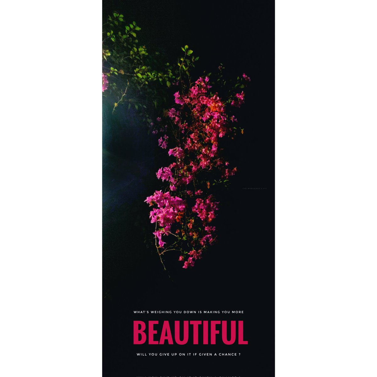 wanderer_eye's tweet photo. What's weighing you down is making you more beautiful? Will you give up on it if given a chance ? https://t.co/xLIFHmzltp