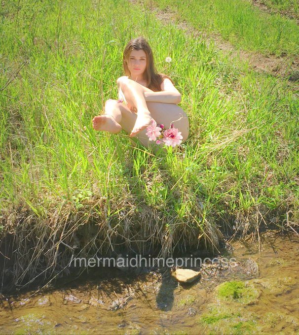 would you frollick in the meadow with me? https://t.co/Cv1upNxCEp