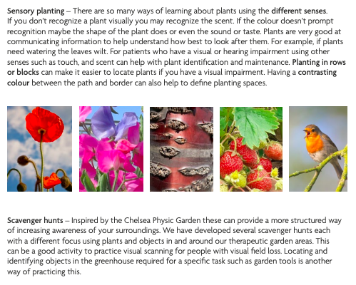HighGround_UK's tweet photo. Our Adapted Gardening Guide for people with visual and hearing impairments is a really useful tool for individuals, and clinical staff, alike. Links to great guidance from the @RNIB and @thrivecharity.
@theRCOT
https://t.co/44qpnY8pWJ
#outdoorsisbetter #rootstorecovery https://t.co/CA4EkrHTMC