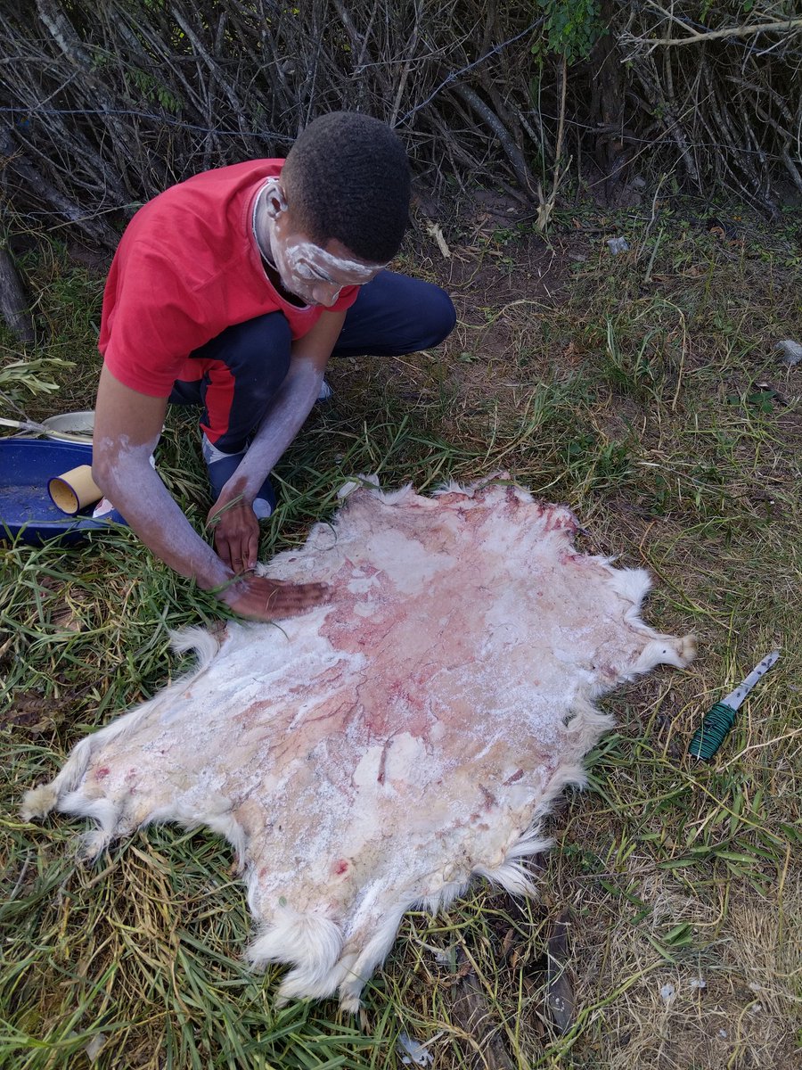 LMkonqo's tweet image. In 2003, my dad said I must bring a note book &amp;amp; a pen. He then said bhala Imbeleko nam ke ndabhala, then he said bhala day1.. then he gave me a step by step guide sokuba yenziwa njani imbeleko from start to finish. I later typed &amp;amp; saved the information indincedaaaa!