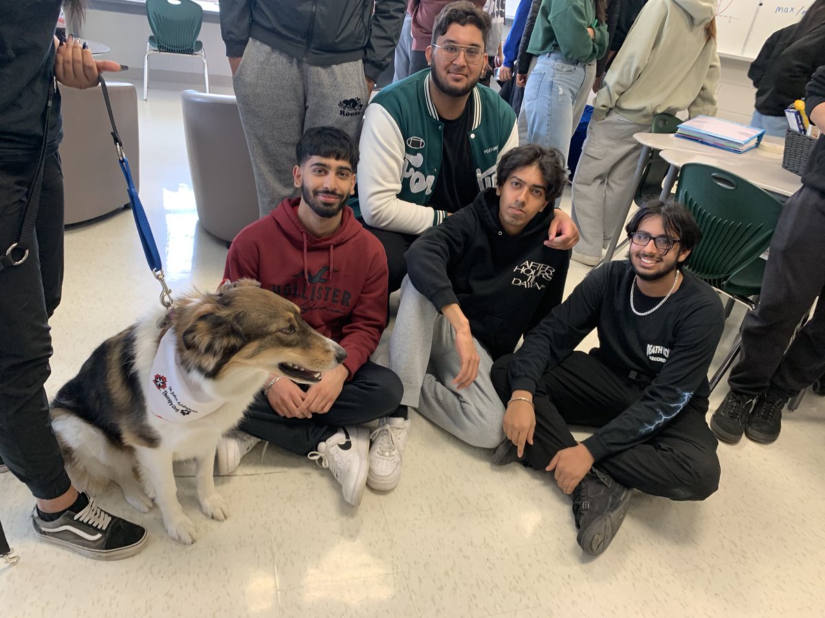 Sherry Dalcin (@sherrydalcin) on Twitter photo Best day ever…… #therapydogs visit <a href="/castlebrookess/">CastlebrookeSS</a> There is nothing more uplifting than petting a dog 🐶 <a href="/zammitmary/">Mary Zammit</a> <a href="/FaganMarcia/">marcia mccurdy fagan</a> <a href="/PeelSchools/">Peel District School Board</a> Best day ever…… #therapydogs visit <a href="/castlebrookess/">CastlebrookeSS</a> There is nothing more uplifting than petting a dog 🐶 <a href="/zammitmary/">Mary Zammit</a> <a href="/FaganMarcia/">marcia mccurdy fagan</a> <a href="/PeelSchools/">Peel District School Board</a>