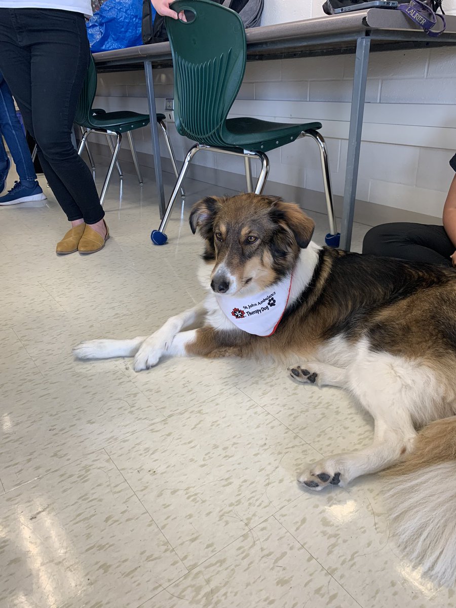 Sherry Dalcin tweet media