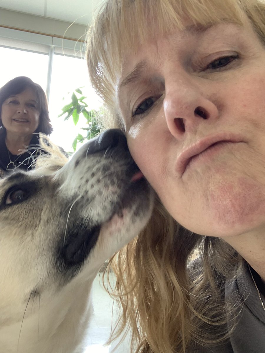 Sherry Dalcin tweet media