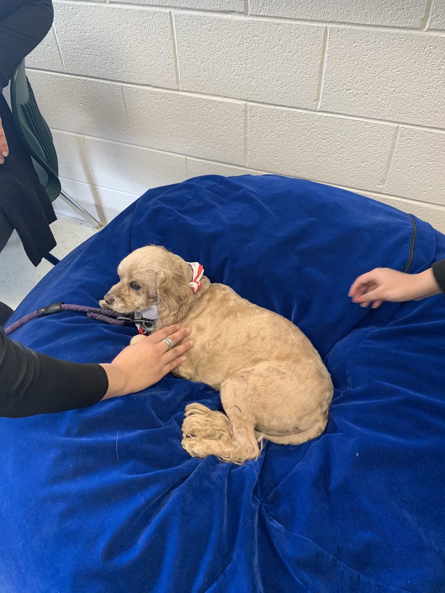 Sherry Dalcin tweet media