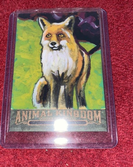CardsNAutos's tweet photo. @Iminsearchof Cousins Peacock $45 shipped

Fox Goodwin Champions Masterpiece 1/10 - $200 shipped https://t.co/Fs6bSIDwHW
