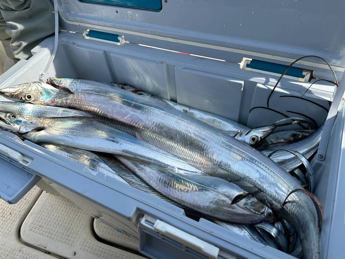 Go fishing in the sea