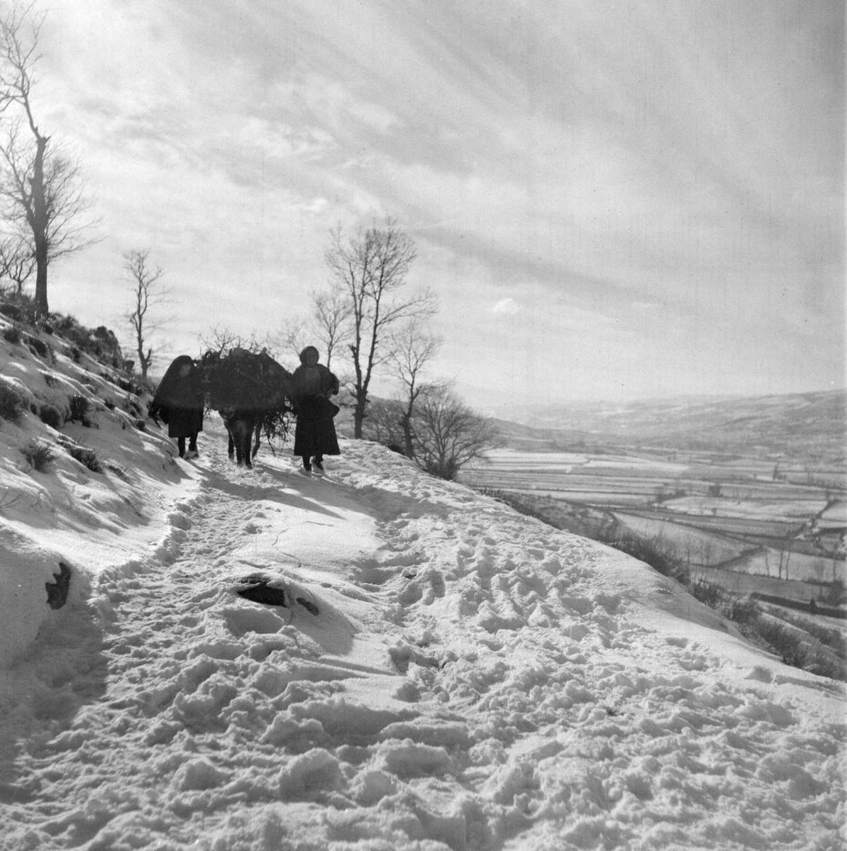 RuralPortugal's tweet photo. Passam hoje 101 anos do nascimento de um dos fotógrafos que melhor documentou a vida e as paisagens rurais de Portugal: Artur Pastor.

Aqui ficam algumas das suas fotos da região de Trás-os-Montes, em meados de 1950. https://t.co/btH7b6XKZL