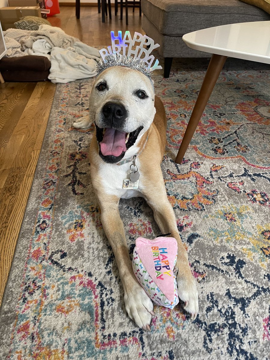 cal scruby tweet media