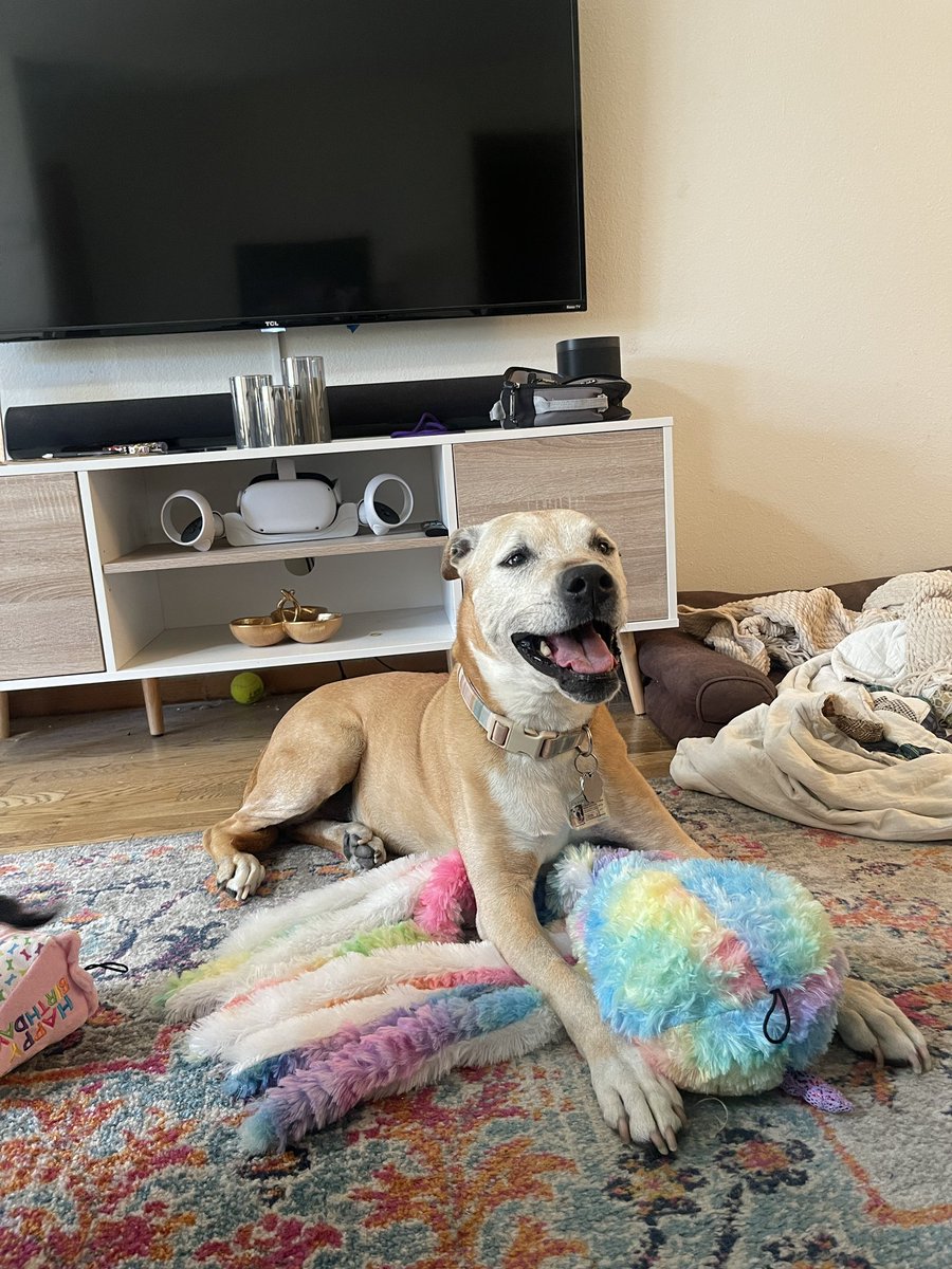 happy 13th birthday dessa 👑