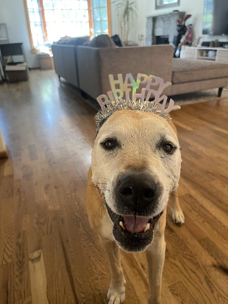 cal scruby tweet media