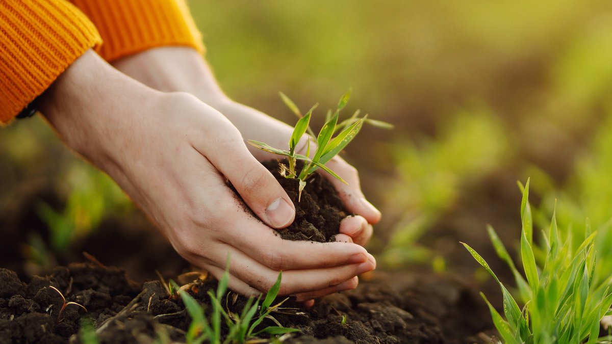 NRCS-Washington tweet media