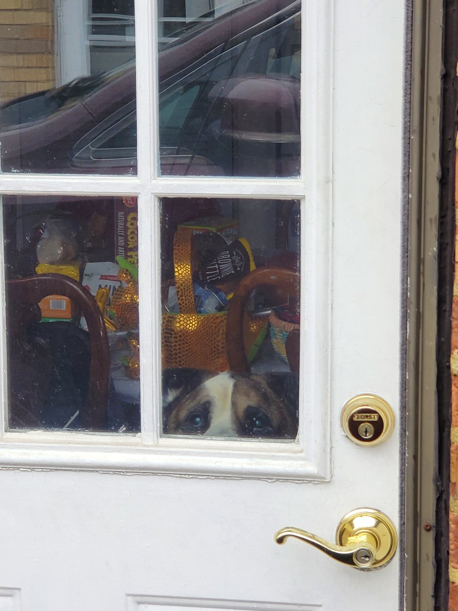 Mama <a href="/SincerelyHiatus/">Lexii Klopp</a> , is that you? 👀