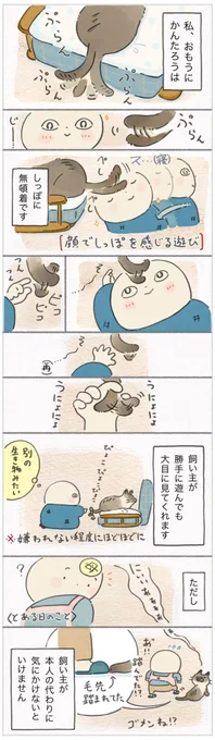 「しっぽを顔で感じる遊び」もできちゃう!触られてもあまり気にならない本体(かんたろう)【連載】ねこ連れ草 276話め|ねこのきもちWEB MAGAZINE 