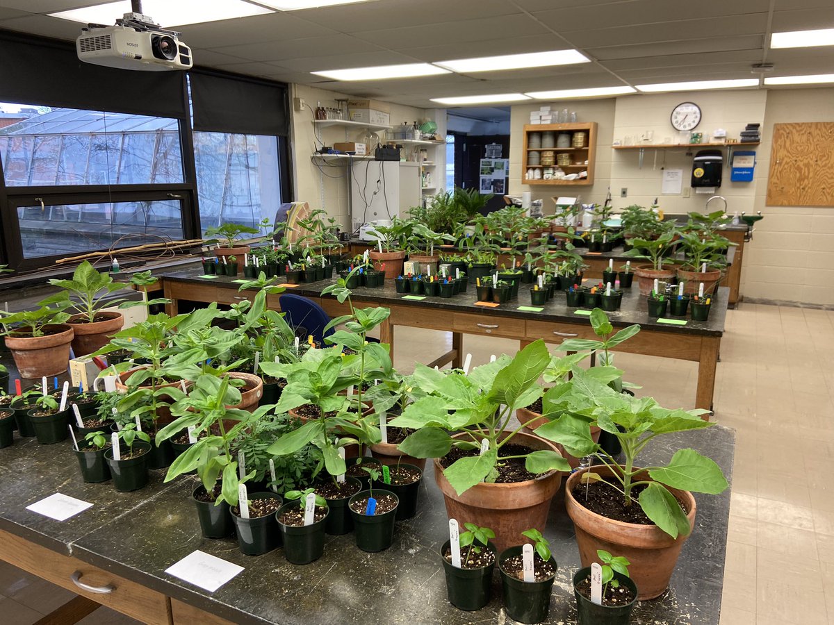 Plants are ready for the AGGG sale starting tomorrow!!