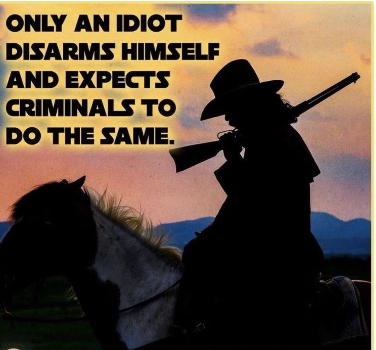 thebitchisback-on-twitter-pssst-criminals-don-t-obey-laws