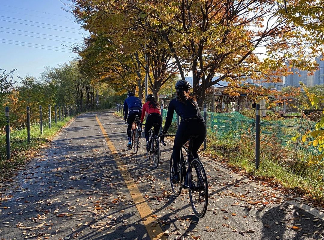 Good mood is a long drought of rain cheer, good mood is the celebration of the aftermath of the disaster, good mood is the warmth of each other. Let's get on the good mood train and start a good mood journey!