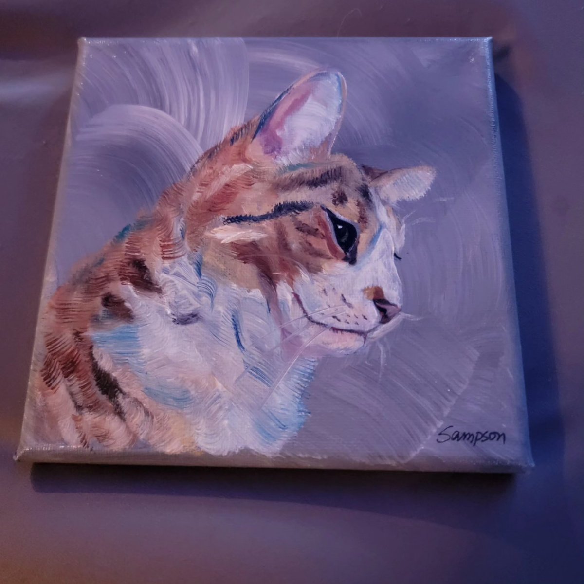 Butters (Chatty Catty)🐾🏳️‍🌈 tweet media