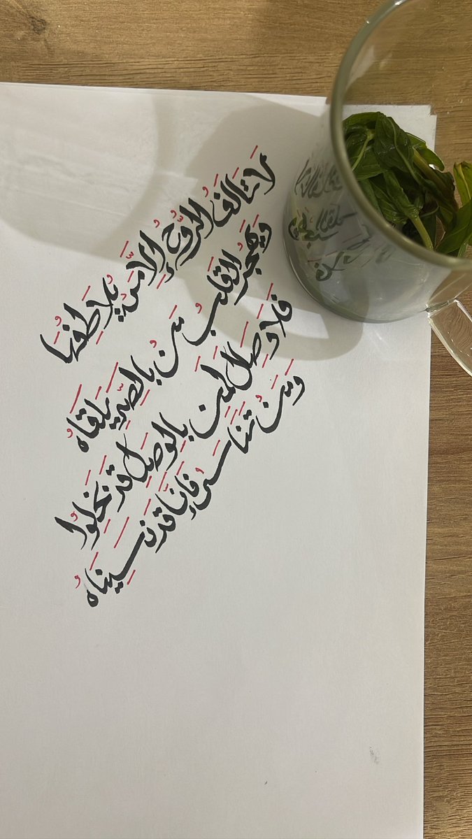 MobarakBalkhir's tweet photo. https://t.co/c2cnEgwIRK