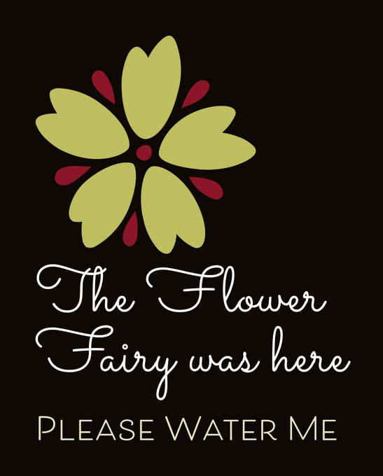 The Flower Fairy (@flowermageddon) on Twitter photo 2023-05-01 18:35:28 #skipdipping & #upcycling thrown away #plants that are either at death's door or not fit to sell. Bringing them back to life & making little #flowerbeds where ever my legs will take me in #Harrow #HatchEnd #Pinner #Wealdstone #Harrowweald #skipdipping & #upcycling thrown away #plants that are either at death's door or not fit to sell. Bringing them back to life & making little #flowerbeds where ever my legs will take me in #Harrow #HatchEnd #Pinner #Wealdstone #Harrowweald