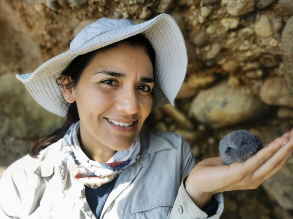 AgendaCAF's tweet photo. #Atención La mexicana Yuliana Bedolla gana el prestigioso premio Whitley por proteger a las aves del Pacífico. 🐦

https://t.co/vxwsRJmxgh ◀ @AmericaFutura te cuenta los detalles. https://t.co/dcd7RF0cUg