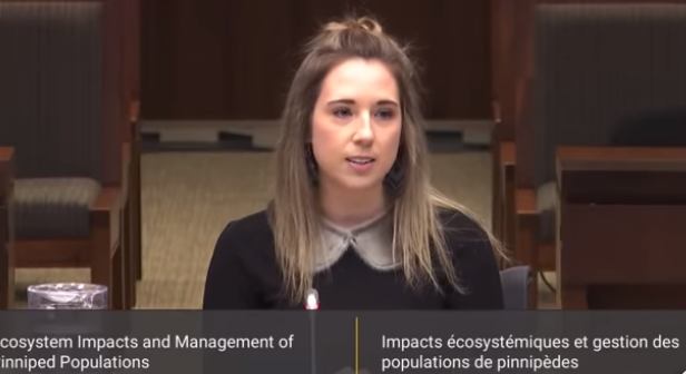 Thank you Jen Shears <a href="/NaturalNL/">NaturaL boutique</a> for your efforts in promoting our sustainable harvest and industry presenting today as a witness for the Parliamentary Fisheries and Oceans Committee’s study on seals
#sustainable #seals #sealing #sealskin #fishery #Ottawa <a href="/TheBroadcastCBC/">The Broadcast</a>