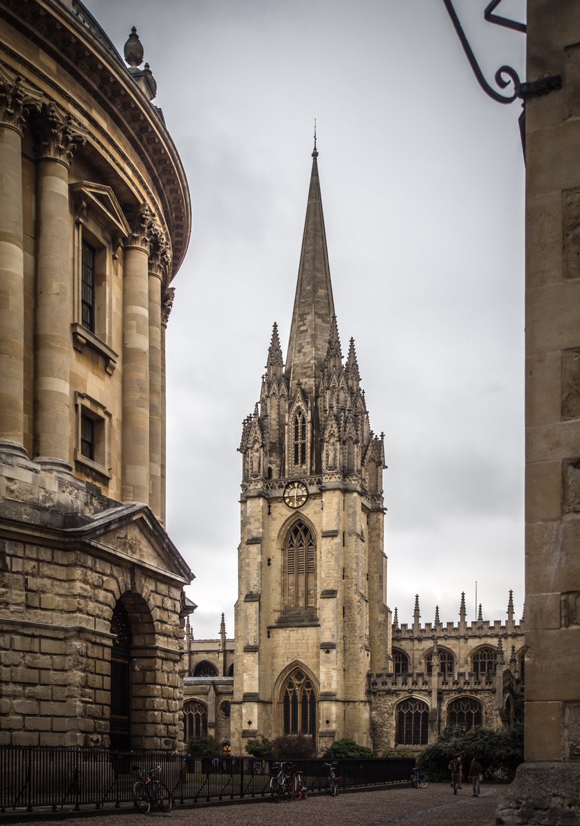 Dmitriy Molla tweet media