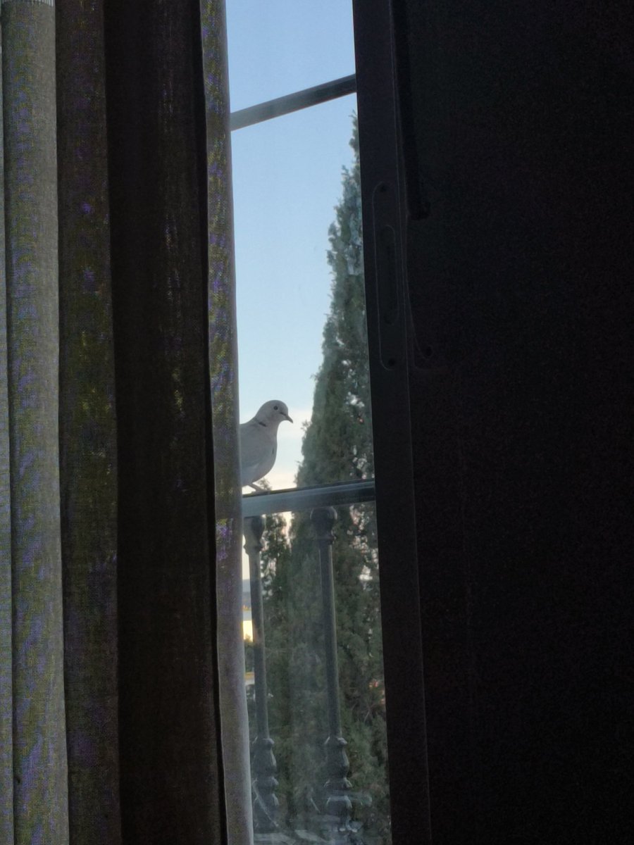 Me observan