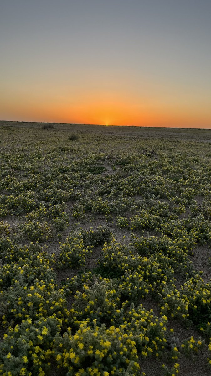 f43an's tweet photo. طمية في لحظة الغروب . https://t.co/1KP7hRMOnT