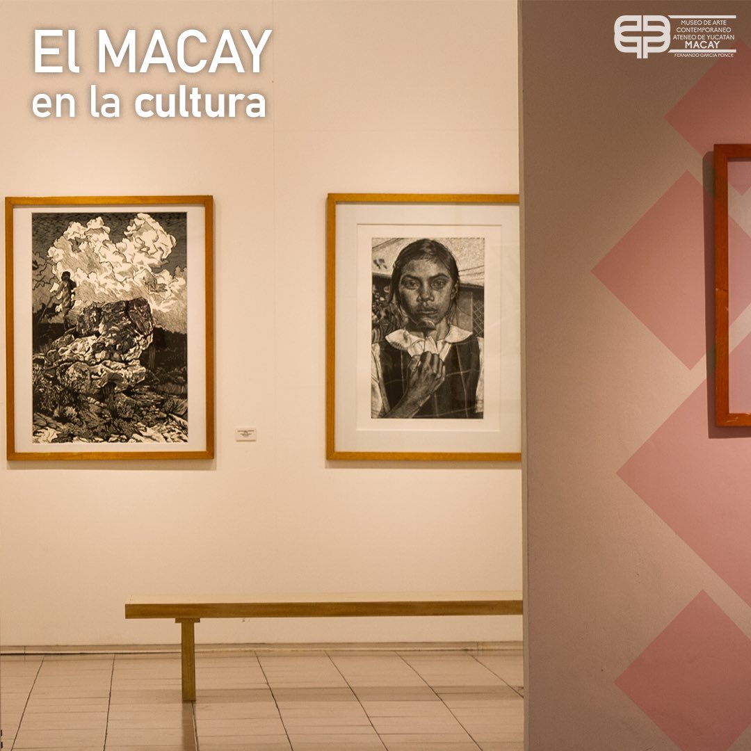 museo_macay's tweet photo. MACAY, patrimonio cultural. Te invitamos a leer nuestra columna El MACAY en la cultura. Esta semana con motivo de nuestro 29 aniversario, en la pluma del Lic. Rafael Pérez y Pérez, Curador del Museo.
https://t.co/dHmWyDXohS
#macay #museomacay @diariodeyucatan https://t.co/lrkwOwYzaF