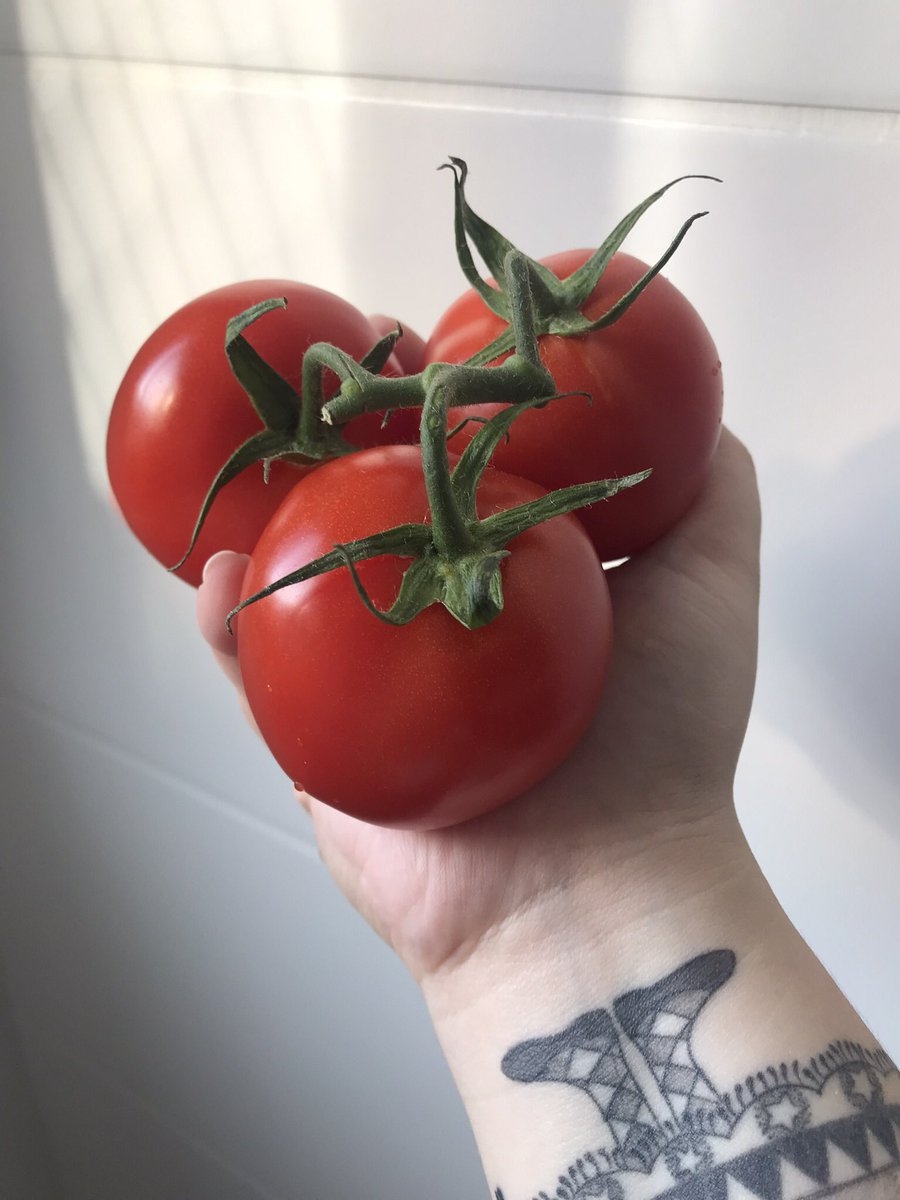 junomundi's tweet photo. Repara no tomatão bonito que eu comprei na feira. https://t.co/QbVCTXCPxl