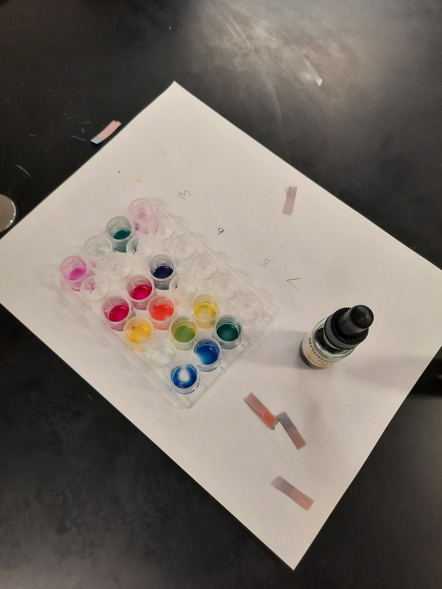 MsGruppuso's tweet photo. Grade 10 Science Ss use their investigative skills to identify the pH of several household substances. In order to do so, they explore several types of pH indicators creating beautiful colours in the process! #science @MPJ_TCDSB https://t.co/IvuBzYV0D6
