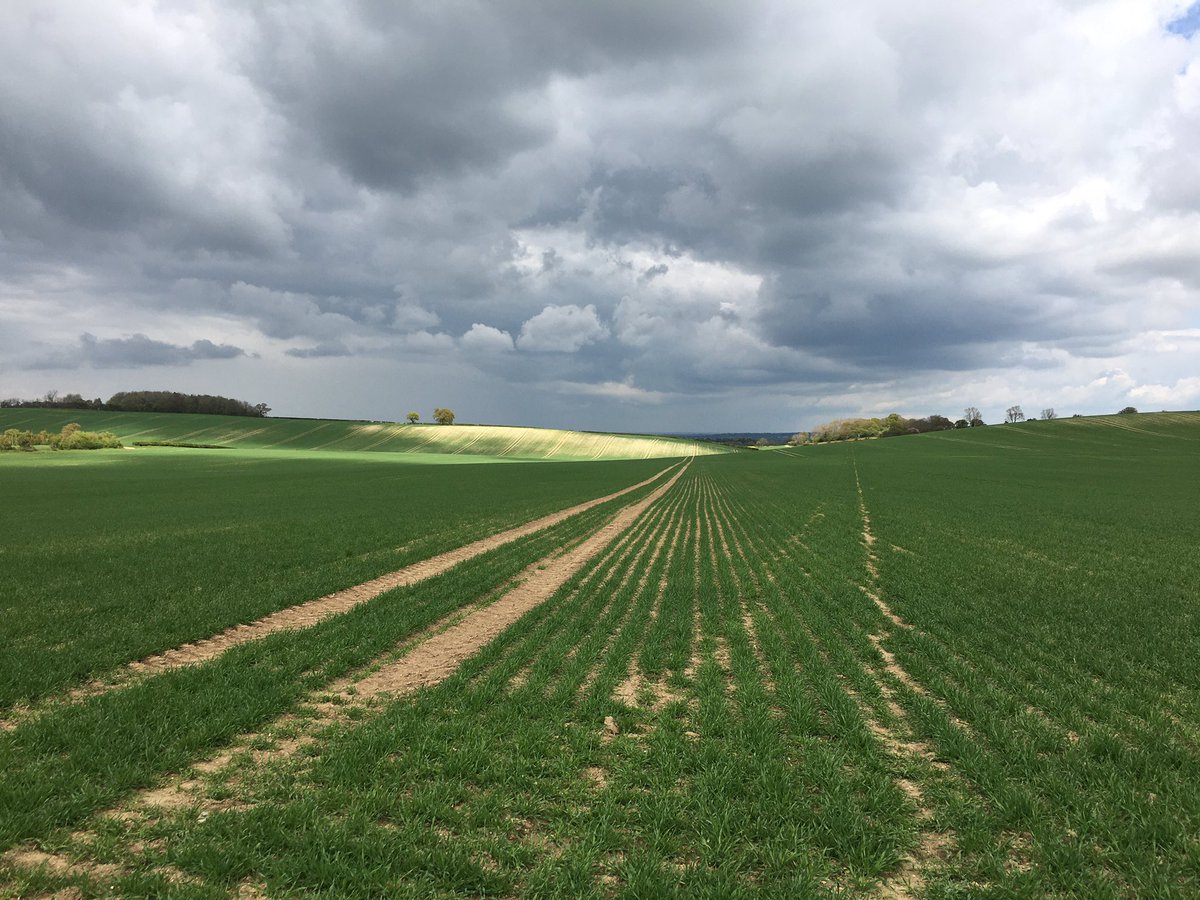 am_drawing's tweet photo. A great start to #NationalWalkingMonth with two @StagWalkers @RamblersGB group walks from Great Offley. https://t.co/PKU1WjXW5C