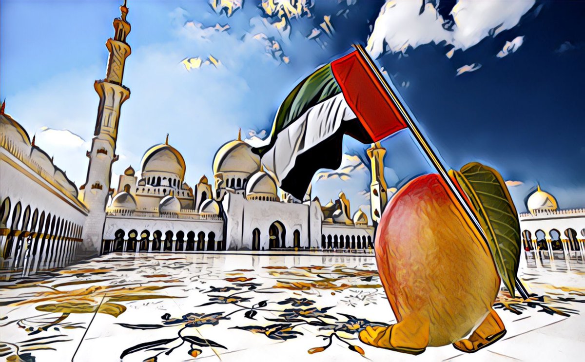 Man_go___'s tweet photo. @AlZar3oni @bedu_io Mango UAE https://t.co/LUHk72apMN