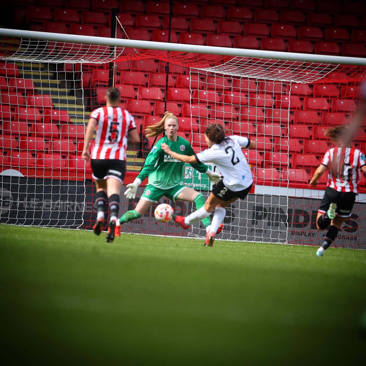 Fran Stenson tweet media