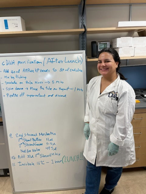 ento_wrbu's tweet photo. Last week we hosted our collaborators from the @mpala_rc for the @REDINET_Program Phase II SOPS workshop at WRBU. Thank you Hsiao-Mei Liao from @NavalMedicalRC for guiding us, and all who attended! It was a fun one! #wrbu #nmnh #redinet https://t.co/MB3pLBX2eU