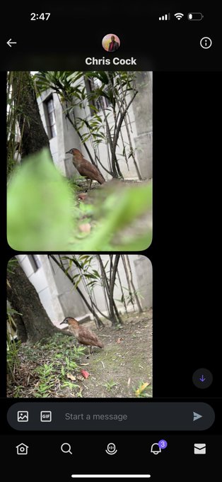 I love that these are the only messages between us so far @ChrisCock_ 😭🤣 wholesome. https://t.co/8ga