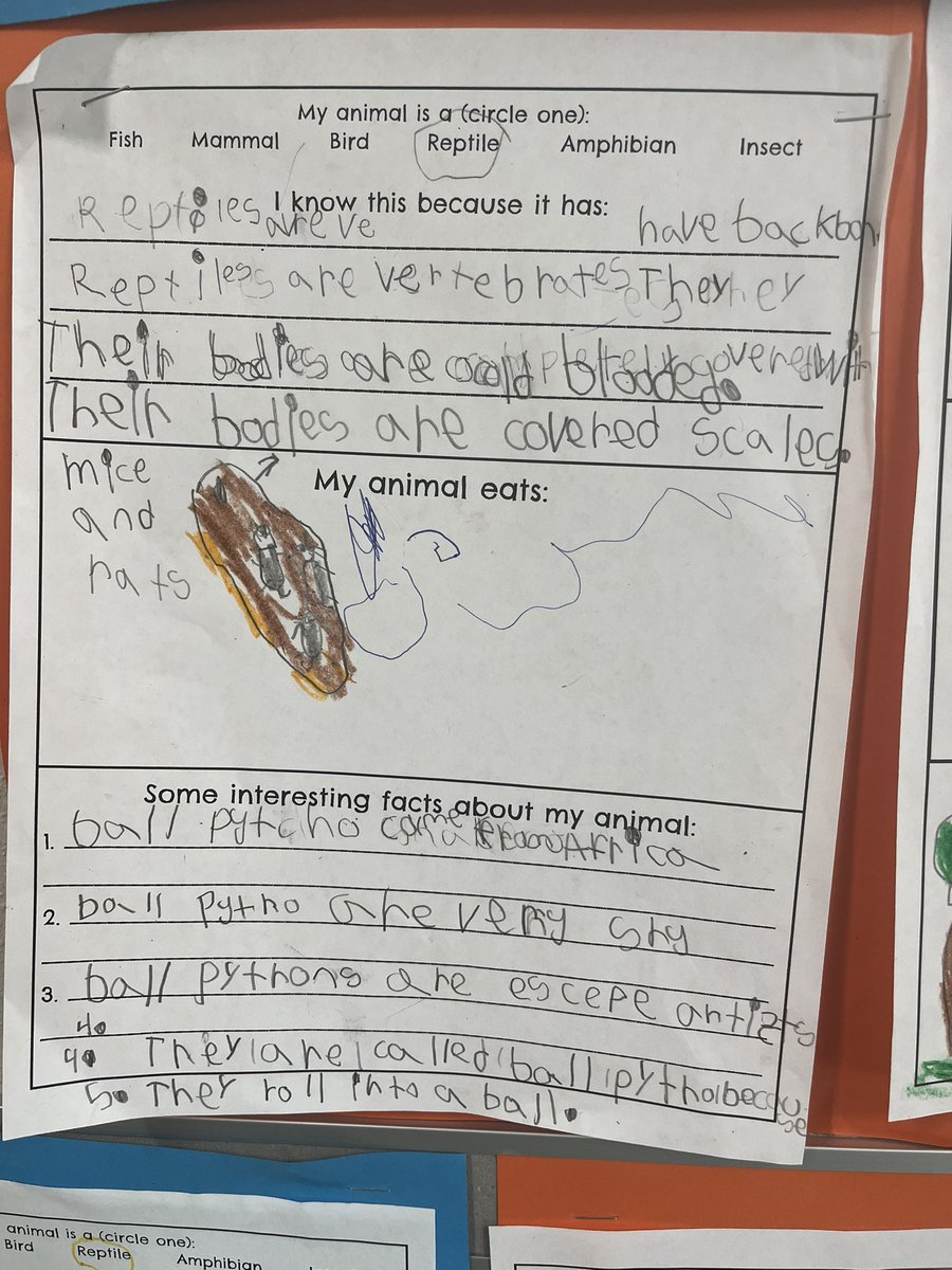 AshleyFredo's tweet photo. Proud of our 1st grade end of year writing for animal research projects! @DVISD_NCES @DVISDPL @DVISDacademics https://t.co/nUfQKoMFn9
