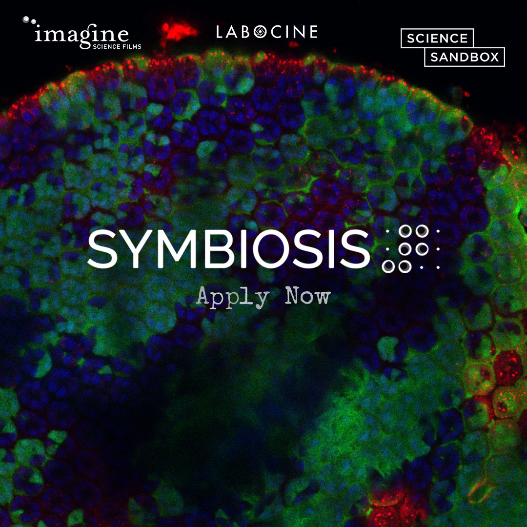 Submissions Now Open for the Symbiosis competition presented by @ScienceSandbox! Scientists and filmmakers will be paired to produce new forms of science cinema during the 16th Annual Imagine Science Film Festival - 10/20-27 #ScienceNewWave @labocine imaginesciencefilms.org/symbiosis