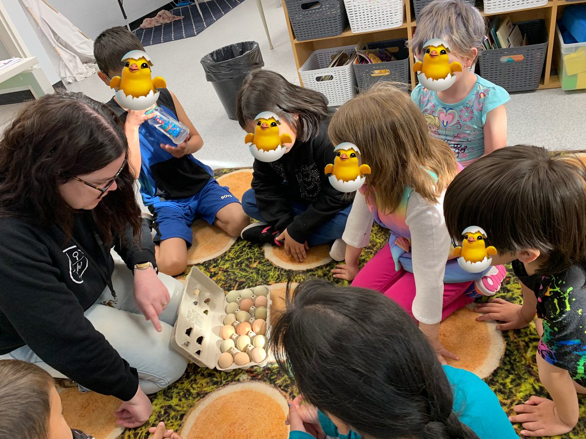 For the first day of opiniyâwewowpîsm we had some special visitors that will be incubating in our room! We can’t wait for the to pip and zip just in time for egg hatching month 🐣 #creelanguage #treaty8