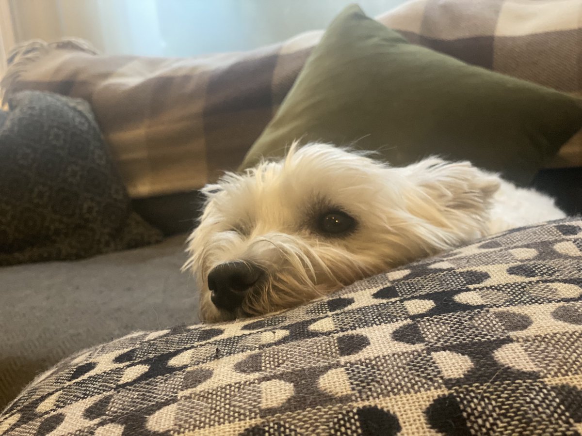 One of the Family tweet media