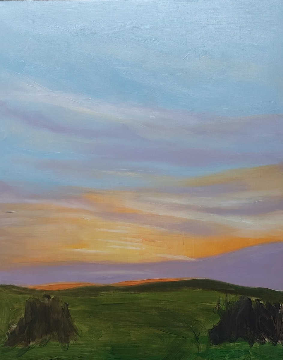wlhaydock's tweet photo. Building up the layers, slowly slowly and all that.... π’ #workinprogress #springevenings #oilonpanel https://t.co/htNmSLhgrf