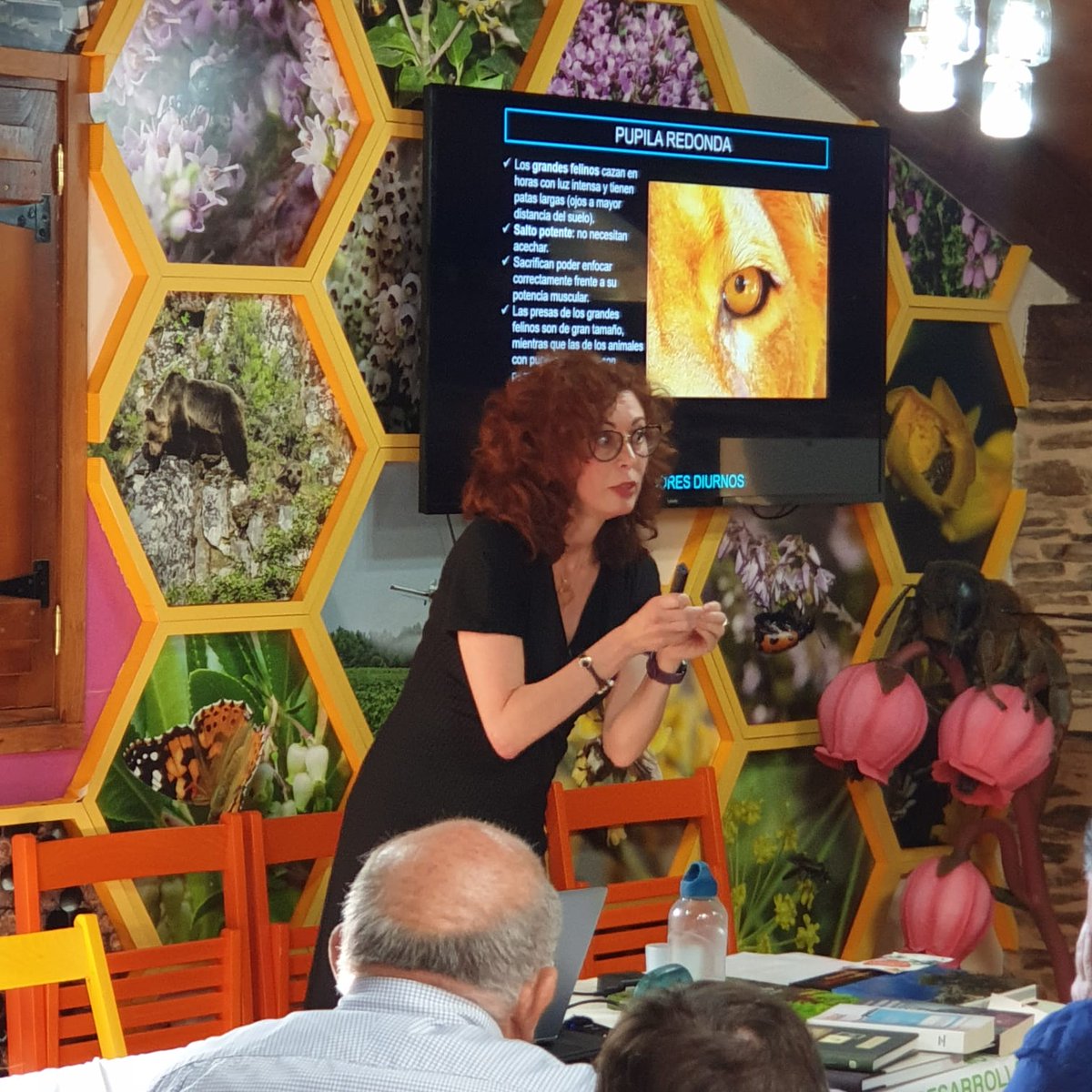 Conchi Lillo🧠🔬👀 tweet media